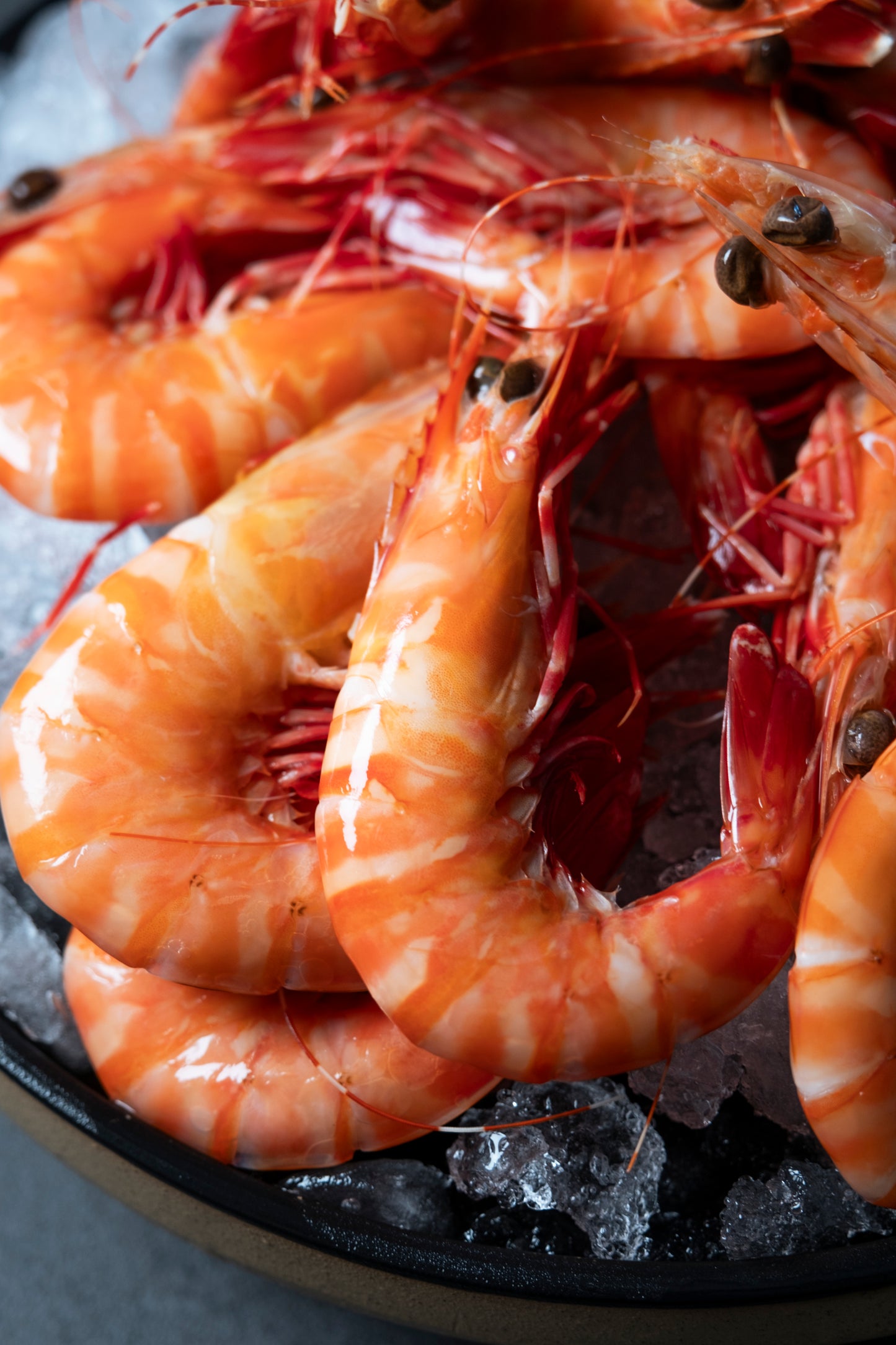 Large Tiger Prawns
