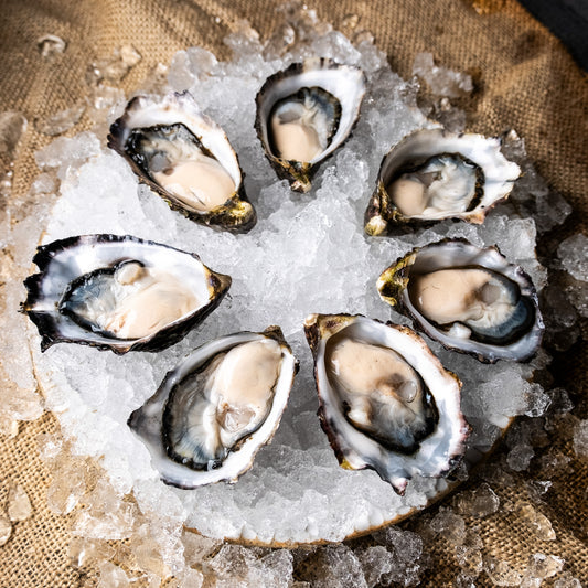 An angled down shot of seven Large Pacific Oysters on a bed of ice