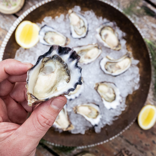 A top down shot of a hand holding a shucked Large Sydney Rock Oyster