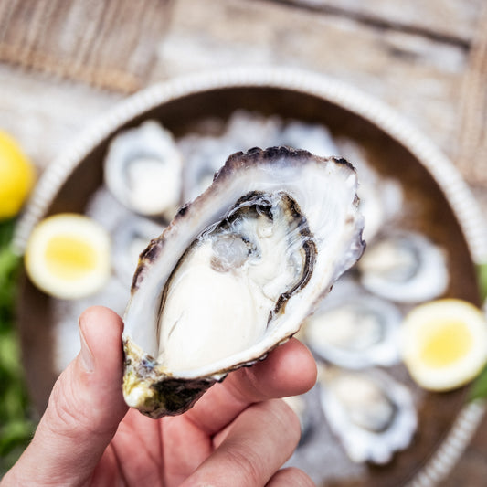 A top down shot of a hand holding a shucked pacific oyster