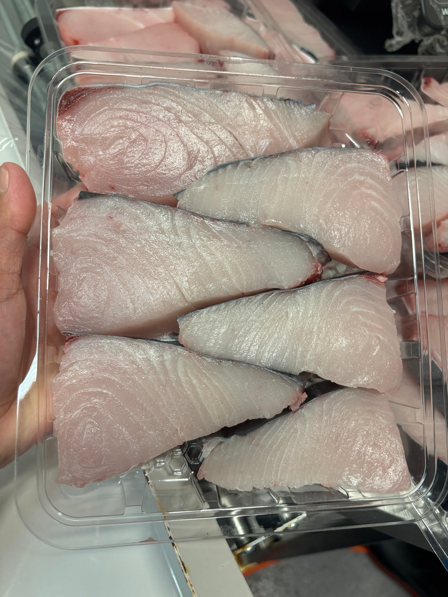 Spanish Mackerel Steak - 500g Portion