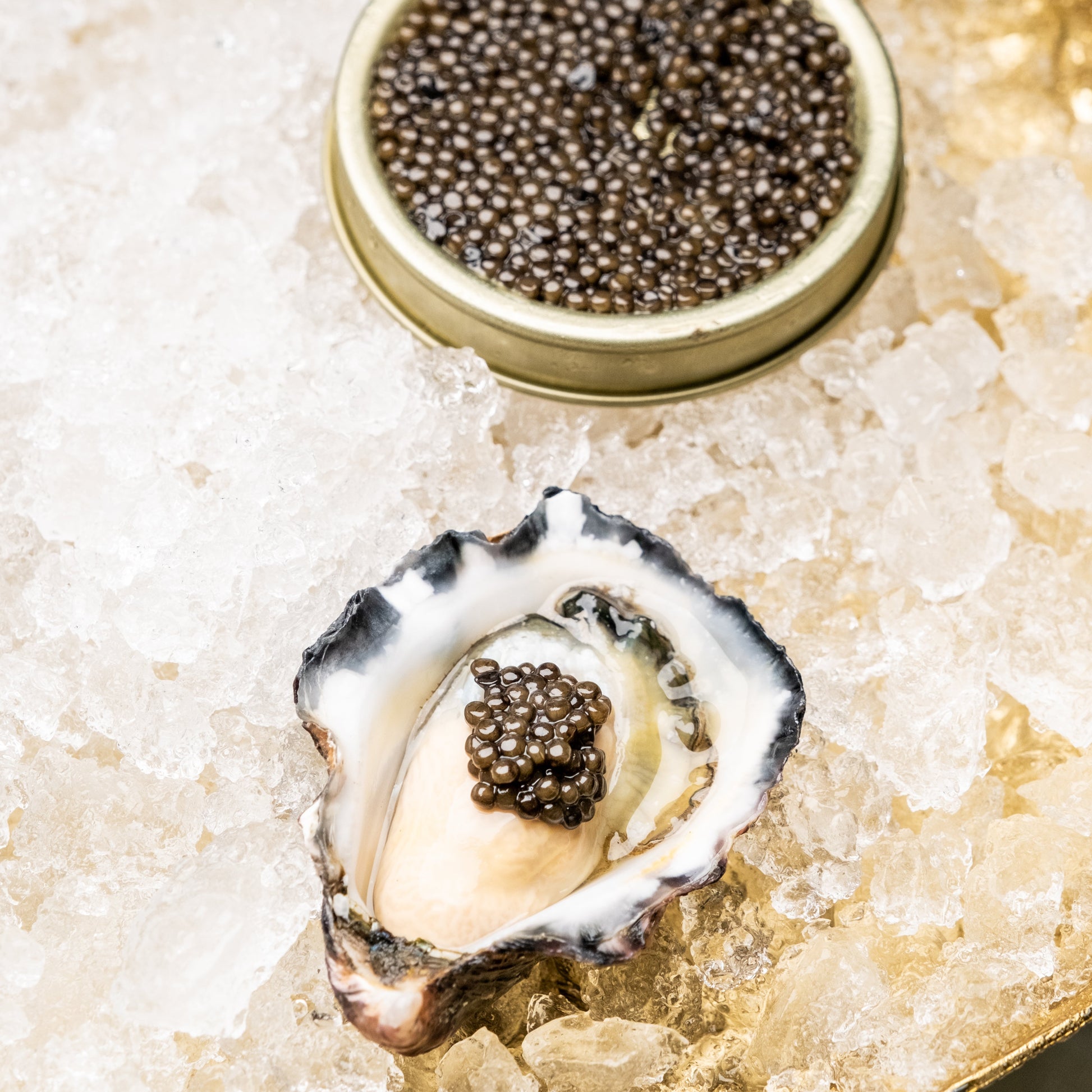 Caviar on a Sydney Rock Oyster