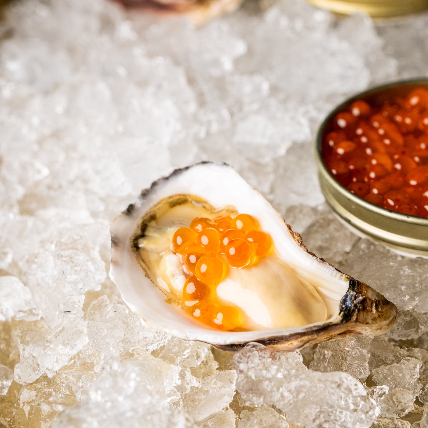A side shot of Yarra Valley Salmon Caviar on a Sydney Rock Oyster