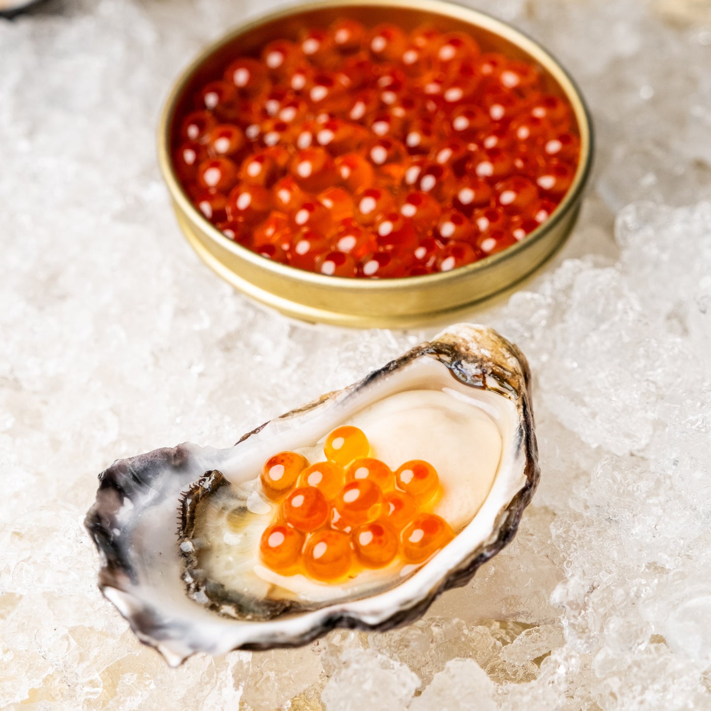 Salmon Caviar on a Sydney Rock Oyster