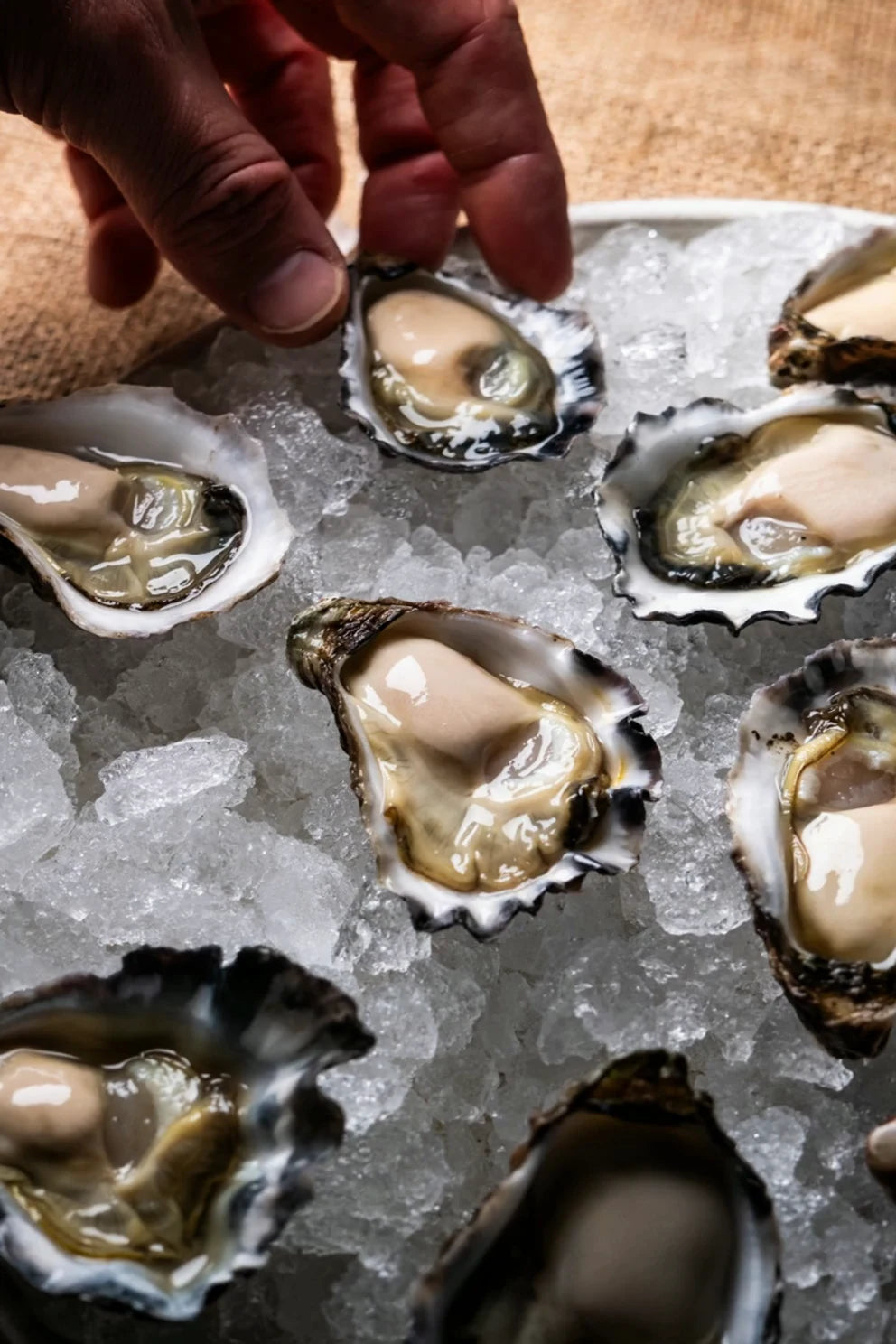 A hand lifting an oyster from a platter of crushed ice